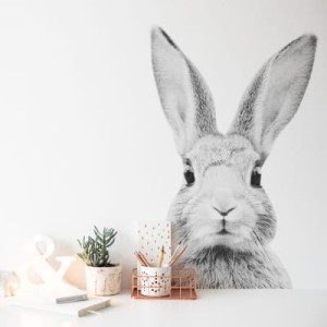 Naklejka Królik Stefan monochromatyczny DK350 YokoDesign 