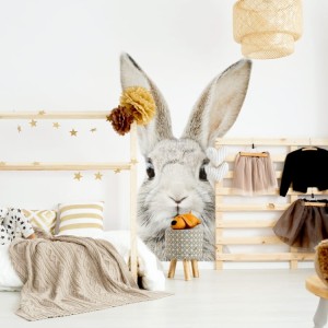 Naklejka Królik Stefan DK223 YokoDesign 