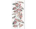 Tapeta dla dzieci Parrot Pink