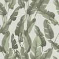 TAPETA SAFARI W17