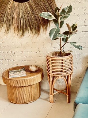 Kwietnik Pollie Naturalny M | Monnarita 