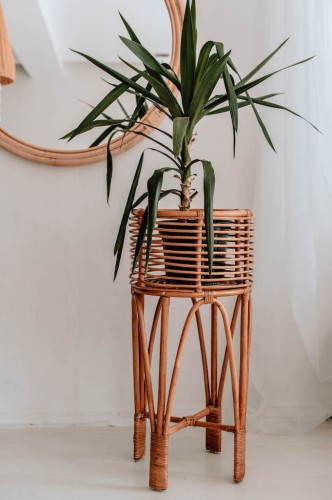 Kwietnik Pollie Naturalny XL | Monnarita  