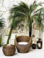 Fotel rattanowy Tegal ciemny I Monnarita