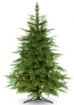 Choinka Świerk PE Skandynawski 250cm