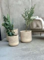 Zestaw doniczek Aletto Sand Set  | Monnarita