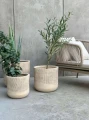Zestaw doniczek Aletto Sand Set  | Monnarita