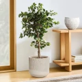 Zestaw doniczek Aletto Sand Set  | Monnarita