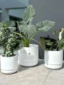 Zestaw doniczek Santiago White Set | Monnarita
