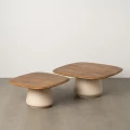 Zestaw 2 stoliki kawowe drewno-metal | Ixia