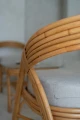 Fotel Sali | Monnarita