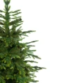 Choinka Świerk PE Skandynawski 150cm