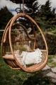 Rattanowy fotel wiszący Henry brązowy ze stelażem | Monnarita