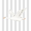 Tapeta Gąski paski szare W144 | Yoko Design