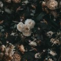 Tapeta Kwiaty i paprocie W40 | Yoko Design