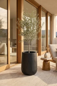 Donica Odelle Tall M - Czarna | Monnarita