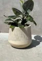 Zestaw doniczek Aletto Sand Edge | Monnarita